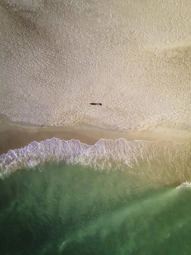 Plaża i zielone morze widziane pionowo z góry